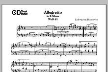 Allegretto In B Minor, Woo 61 