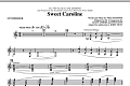 Sweet Caroline - Synthesizer