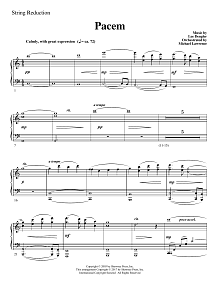 Pacem - Keyboard String Reduction 
