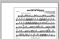 Master of Puppets - Flute/Piccolo