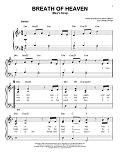 Breath Of Heaven (Mary's Song)