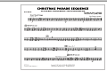 Christmas Parade Sequence - Bass Drum