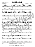 Snares Ahead - Percussion 2