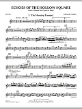 Echoes Of The Hollow Square - Flute 2