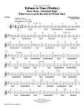 Tribute to Tina - Guitar