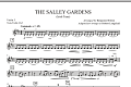 The Salley Gardens - Violin 3 (Viola Treble Clef)