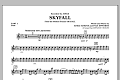 Skyfall - Pt.1 - Flute