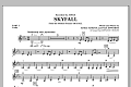 Skyfall - Pt.3 - Violin