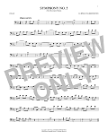 Symphony No. 5 In C Minor, First Movement Excerpt
