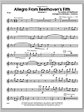 Allegro From Beethoven's Fifth (Movement 1) - Flute
