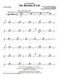 The Rhythm Of Life - Congas