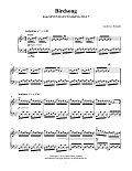 Birdsong (from Seven Days Walking: Day 7)