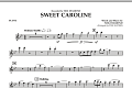 Sweet Caroline - Flute