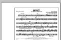 Skyfall - Bb Horn/Flugelhorn
