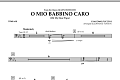O Mio Babbino Caro - Timpani