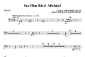 See Him Rise! Alleluia! - Timpani