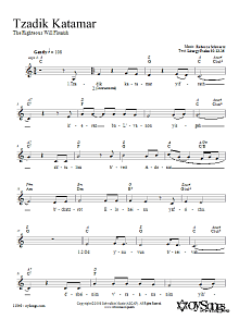Tzadik Katamar 