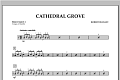 Cathedral Grove - Percussion 2