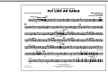 Fly Like An Eagle - Multiple Bass Drums