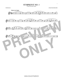 Symphony No. 1 In C Minor, Fourth Movement Excerpt 