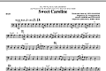 Sweet Caroline - Bass