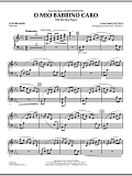 O Mio Babbino Caro - Synthesizer
