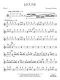 Jaguar - Flute 1
