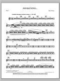 Awakening... - Flute 1