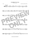 Symphony No. 40 In G Minor, First Movement Excerpt