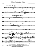 Winter Wonderland of Snow - Viola