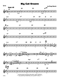 Big Cat Groove - Guitar