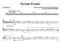 Precious Promise - Contrabass