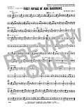 First Voyage Of Auki Badorkins - Percussion 2