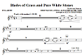 Blades Of Grass And Pure White Stones - Bb Clarinet