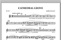 Cathedral Grove - Flute 1