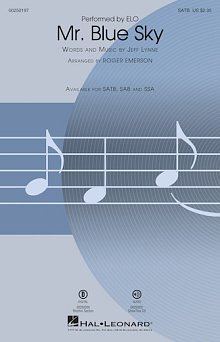 Mr. Blue Sky - Synthesizer 