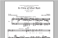 In The Time Of Silver Rain