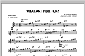 What Am I Here For? - Eb Solo Sheet
