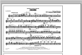 Home - Flute/Piccolo