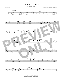Symphony No. 40 In G Minor, First Movement Excerpt 