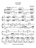 Little Bird (Liden Fugl), Op. 43, No. 4