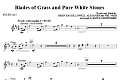 Blades Of Grass And Pure White Stones - Flute 1 & 2