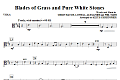 Blades Of Grass And Pure White Stones - Viola