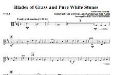 Blades Of Grass And Pure White Stones - Viola 