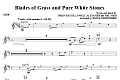 Blades Of Grass And Pure White Stones - Oboe
