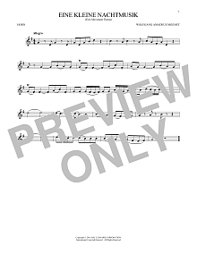 Eine Kleine Nachtmusik ("Serenade"), First Movement Excerpt 