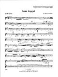 Piccolo Espagnol - 3rd Bb Clarinet