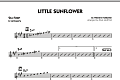 Little Sunflower - Eb Solo Sheet