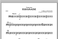 Theme From Havanaise - Bass