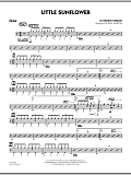 Little Sunflower - Drums